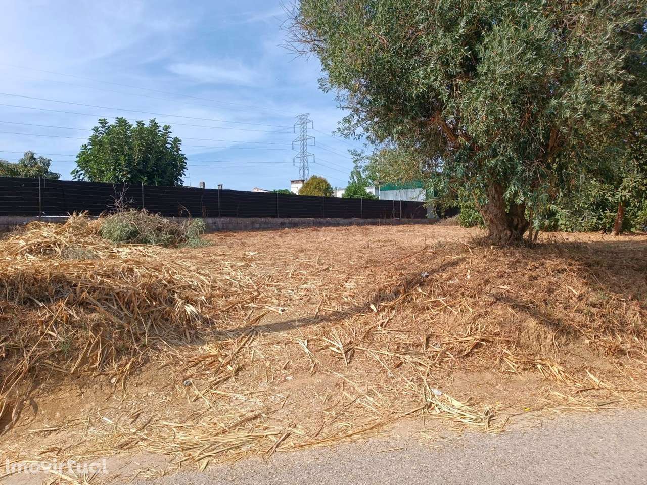 Terreno para venda em Alcanhões – 1.000m² - Grande imagem: 5/6