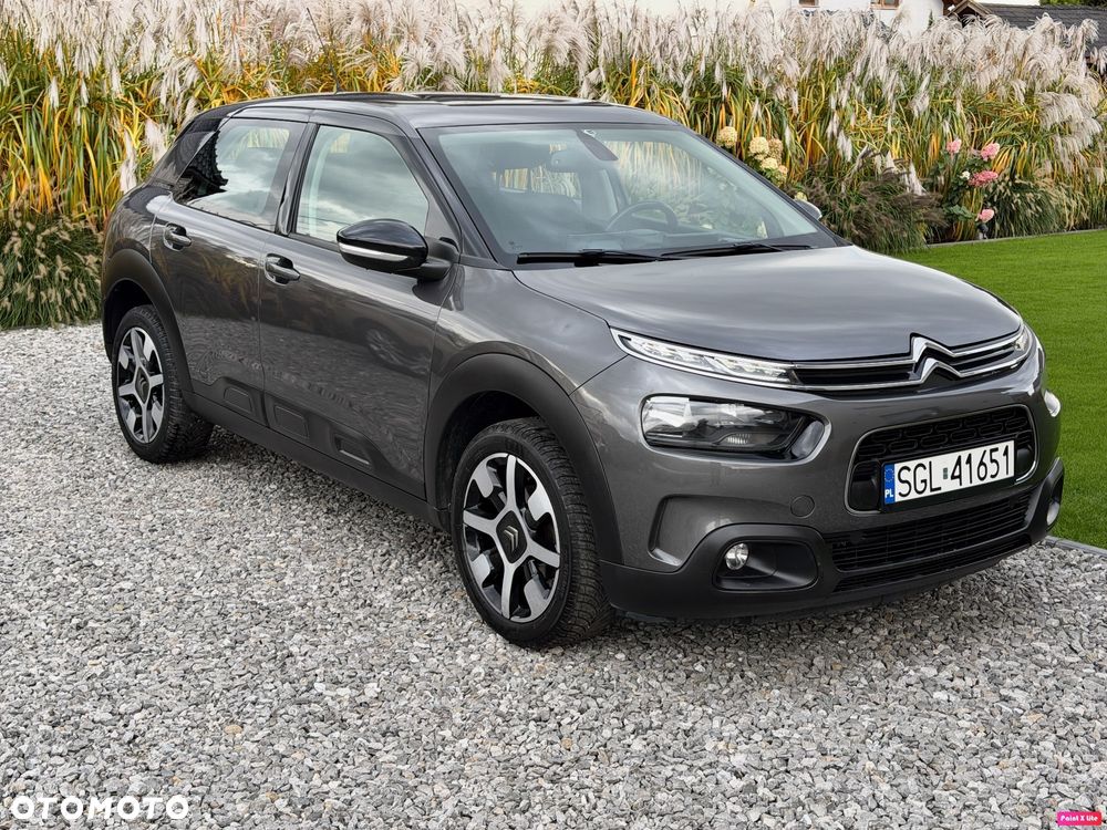 Citroën C4 Cactus Pure Tech e-THP 110 Stop&Start Shine - 1