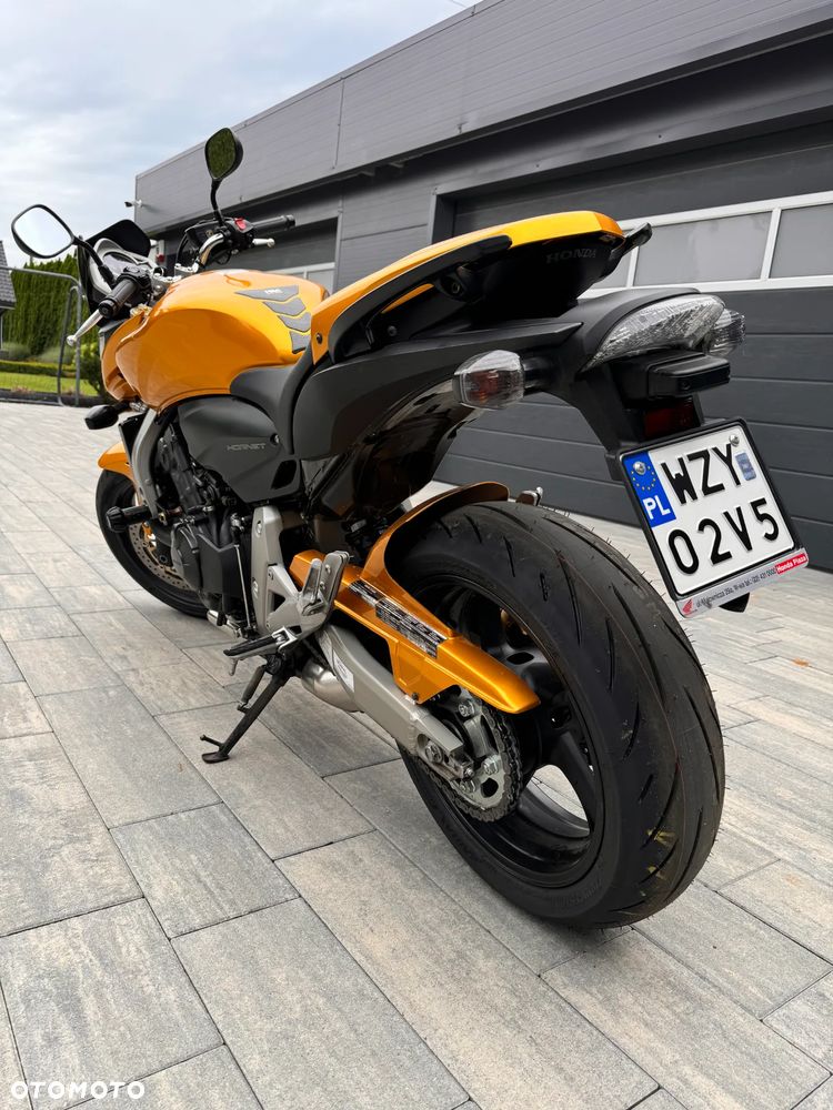Honda Hornet - 8