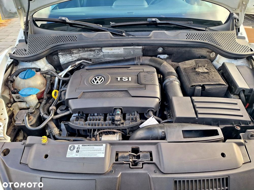 Volkswagen Beetle - 21