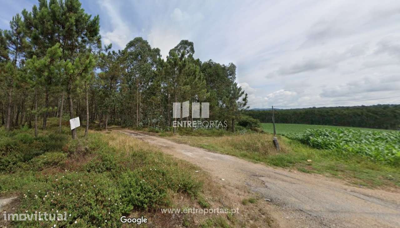 Venda de Terreno agro-florestal, Laundos, Póvoa de Varzim - Grande imagem: 3/4