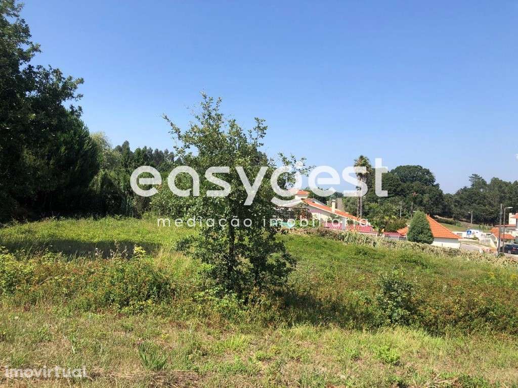 Terreno Rústico com pinheiros mansos em Calvaria de Baixo - Batalha - Grande imagem: 5/12