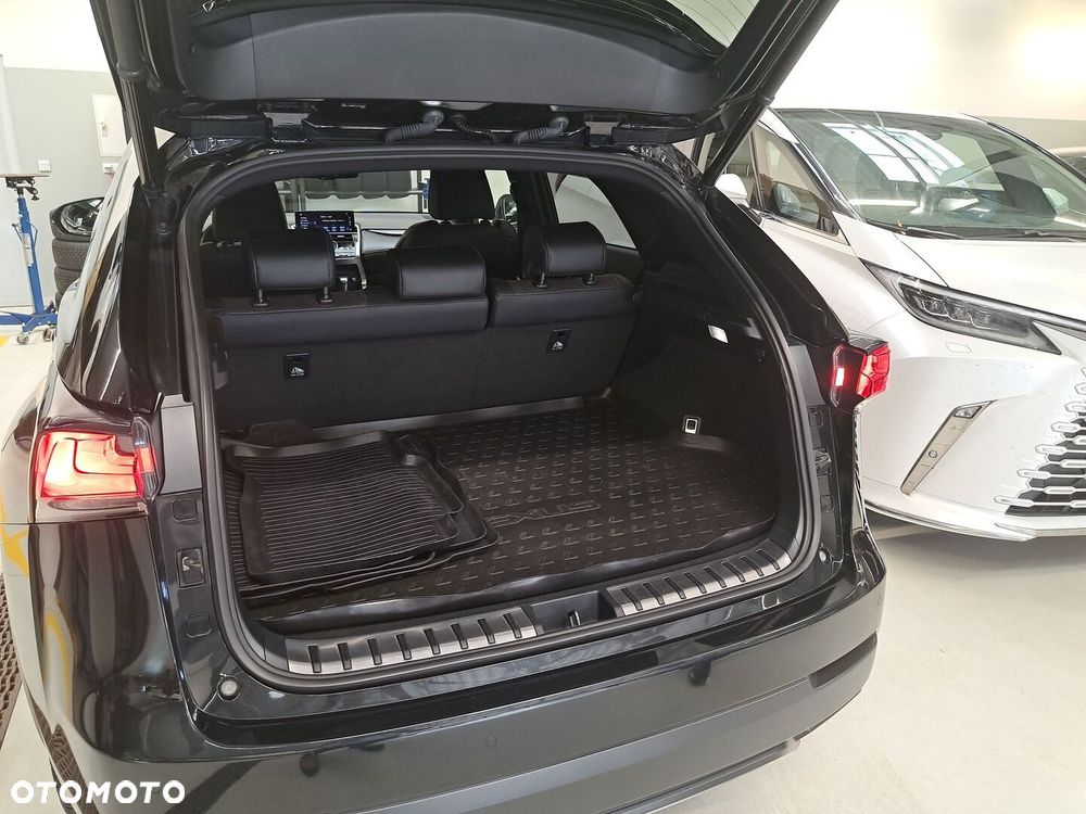 Lexus NX 300 GPF F Sport Edition AWD - 24
