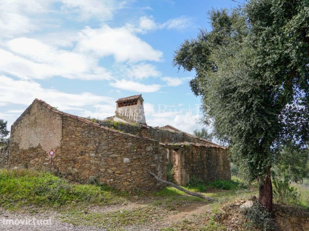 Quintinha rural com moradia T5 aprovada, em Mouriscas - Abrantes - Grande imagem: 2/18