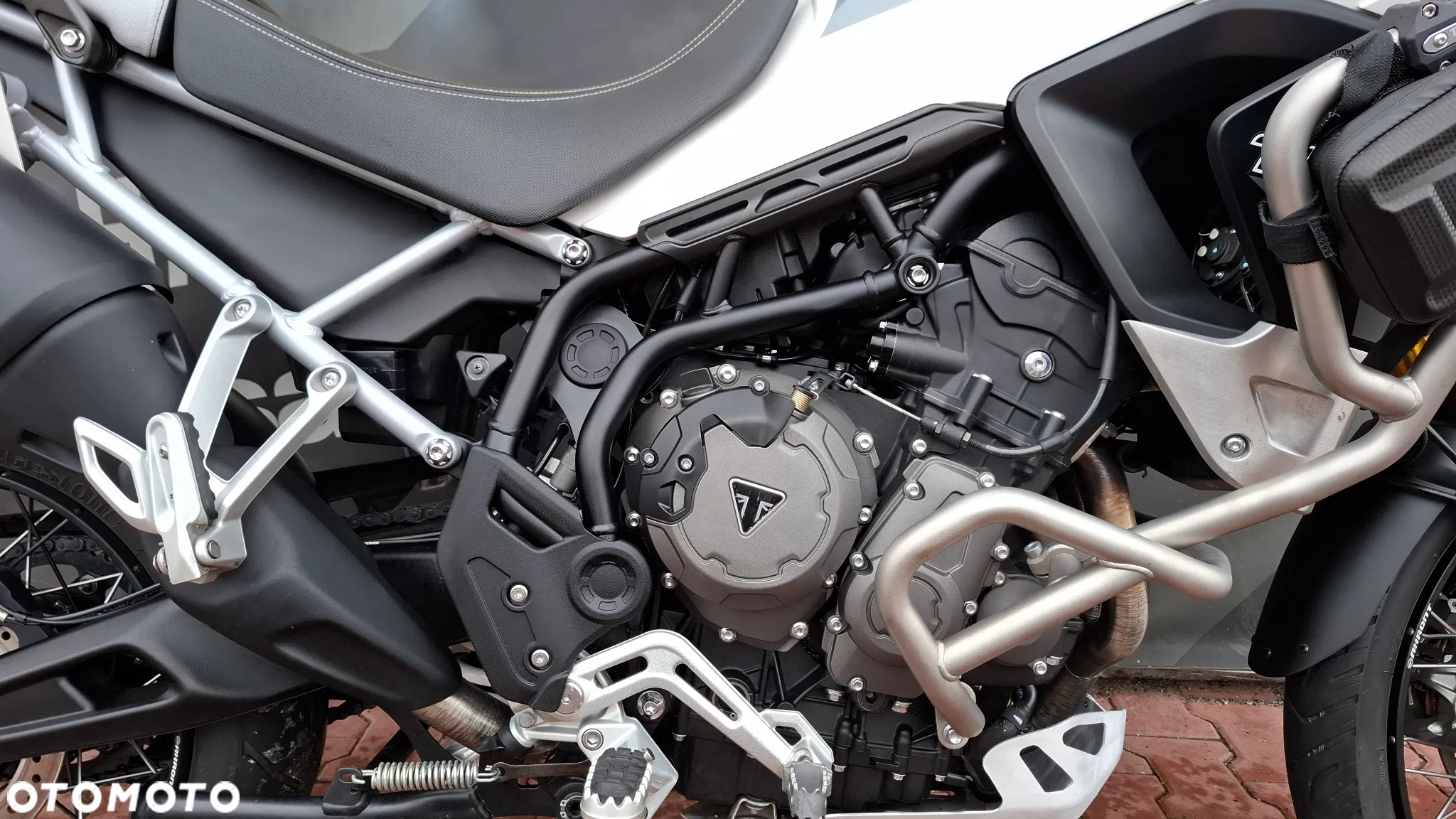 Triumph Tiger - 11