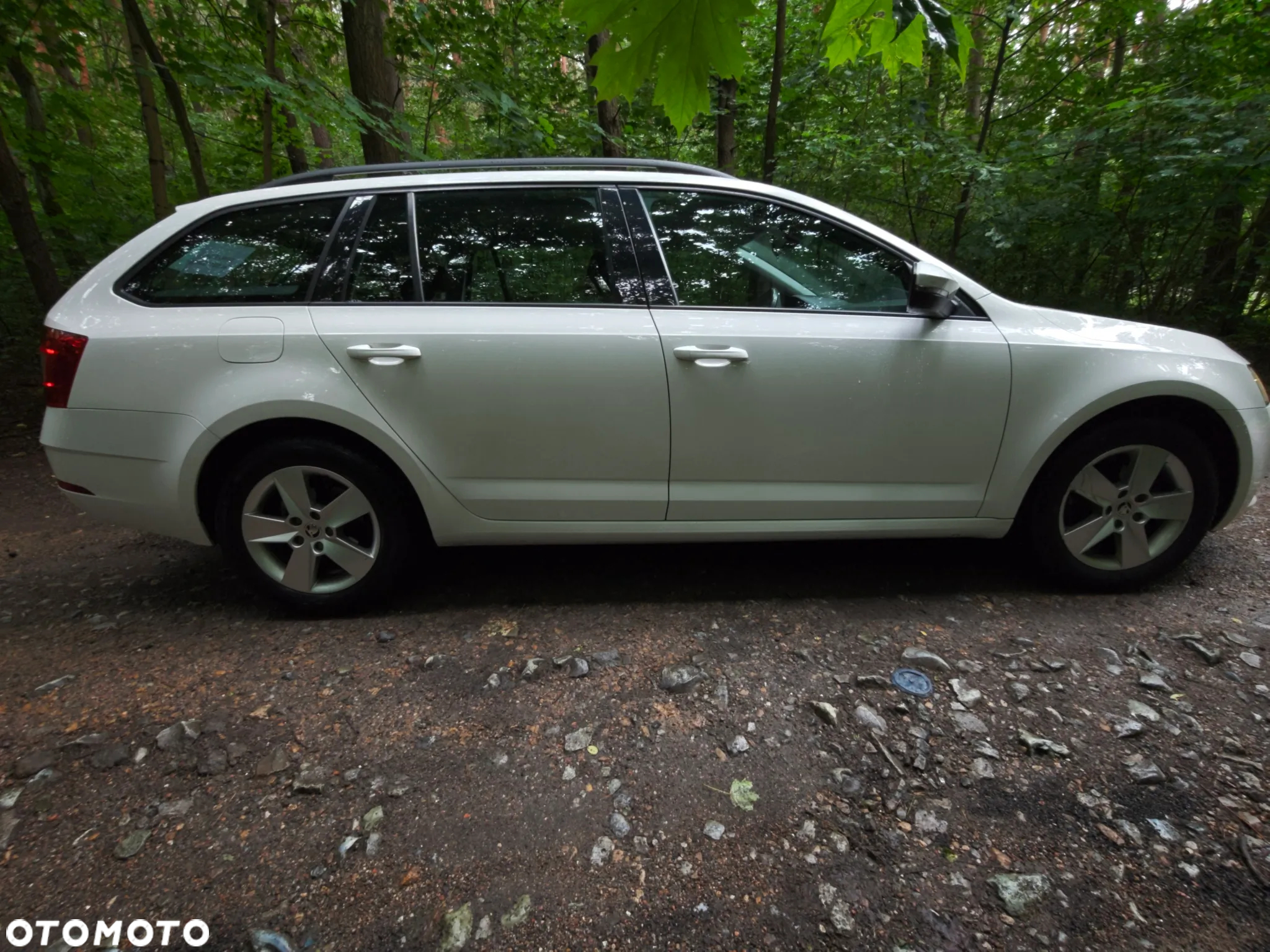 Skoda Octavia 1.6 TDI Ambition - 6