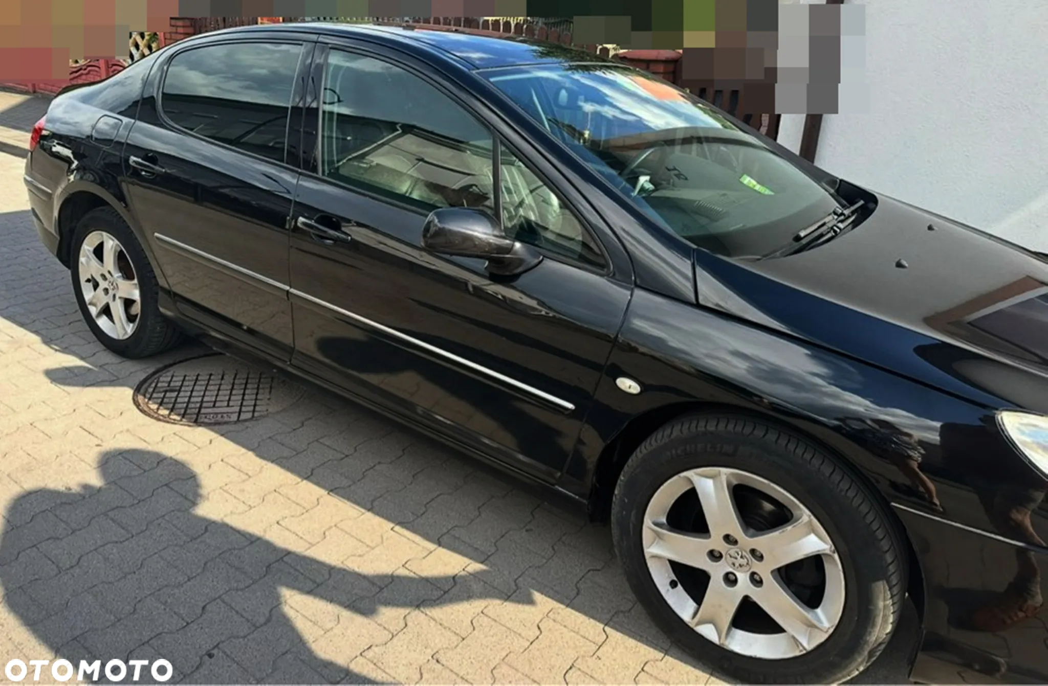 Peugeot 407 - 8