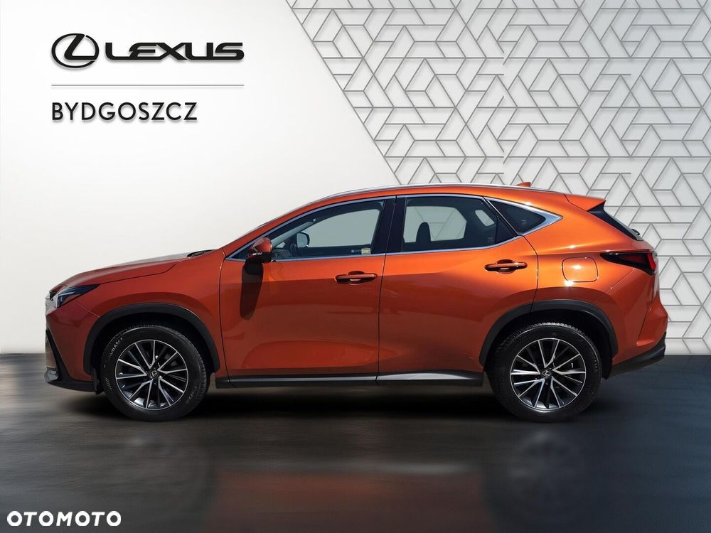 Lexus NX 350h Business AWD - 7