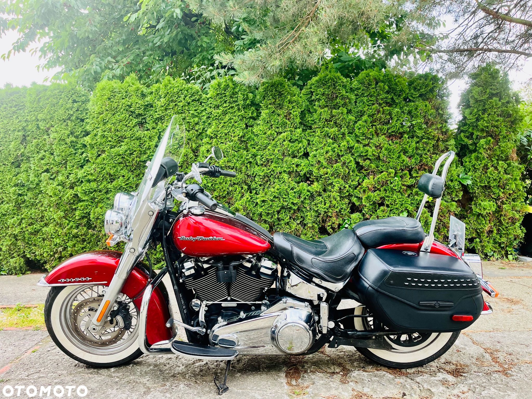 Harley-Davidson Softail Deluxe - 1
