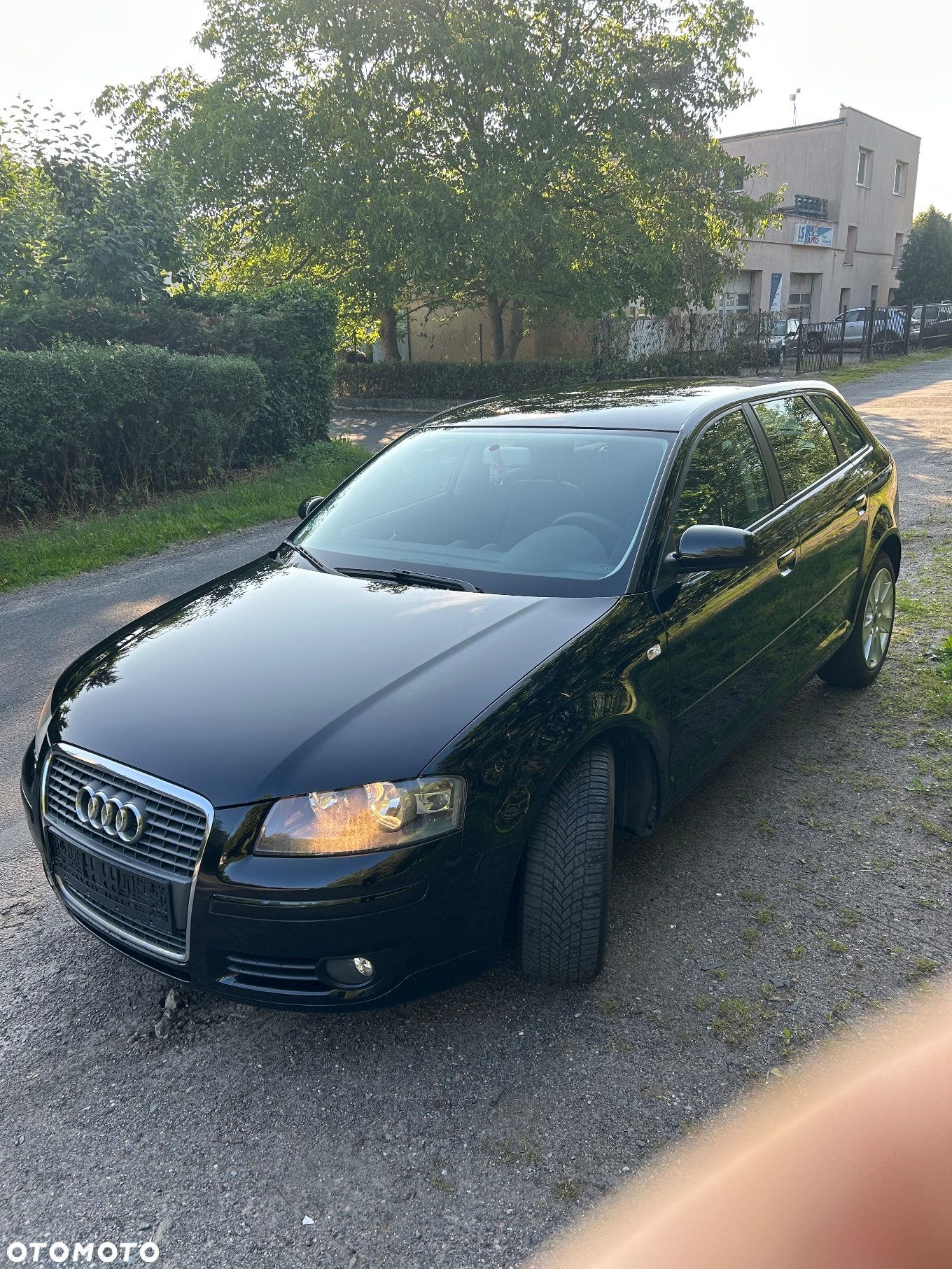 Audi A3 1.6 Sportback Ambition - 11