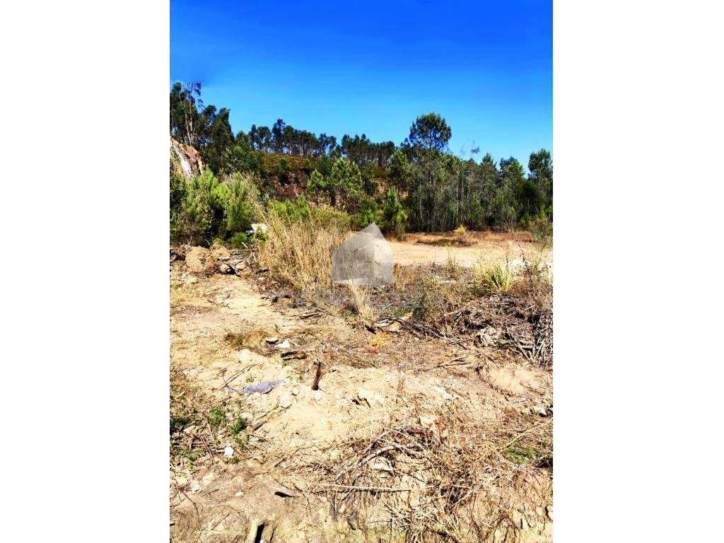 Terreno Industrial com 25.000 m² - Grande imagem: 4/7