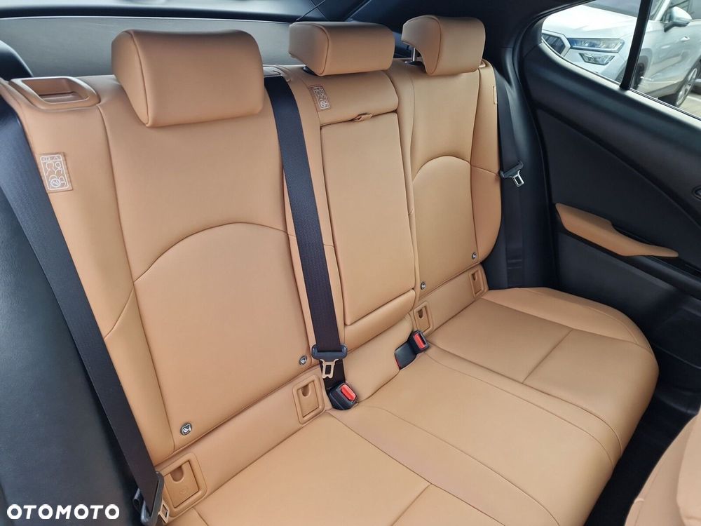 Lexus UX 250h GPF F Sport 2WD - 21