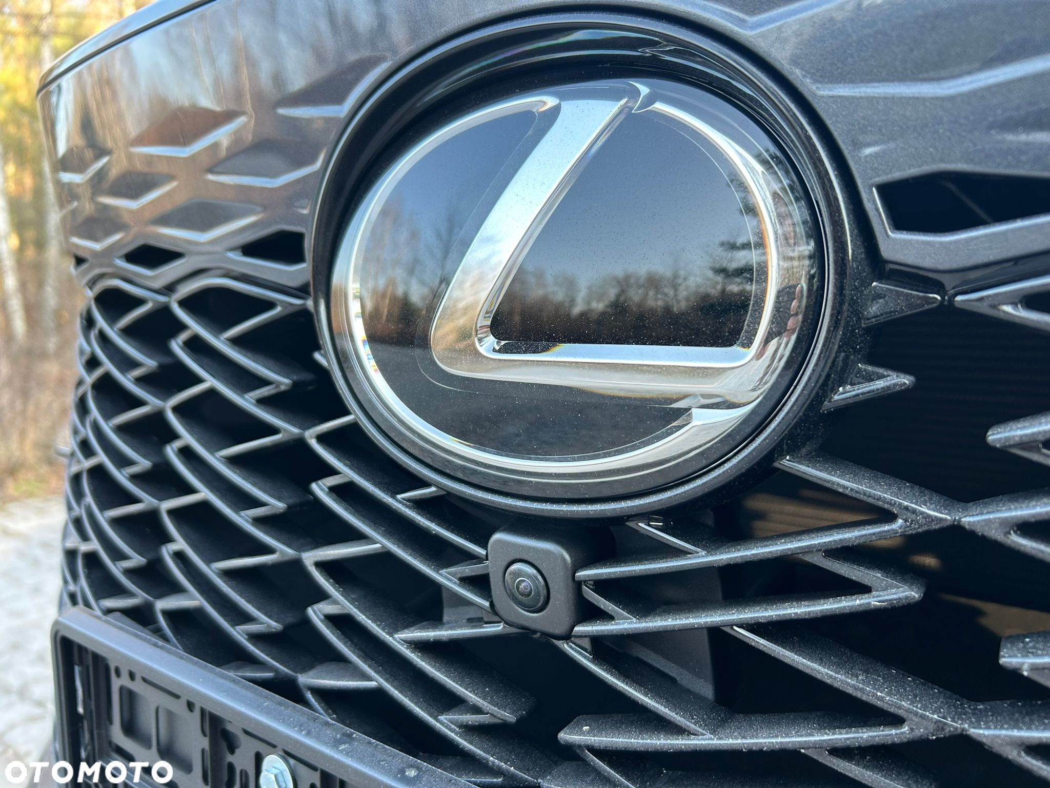 Lexus RX 500h F Sport - 11