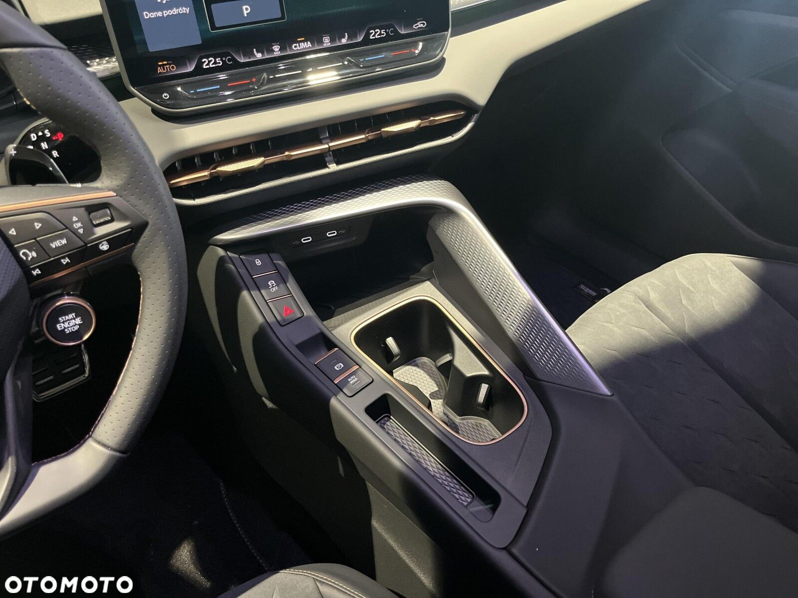 Cupra Terramar - 15