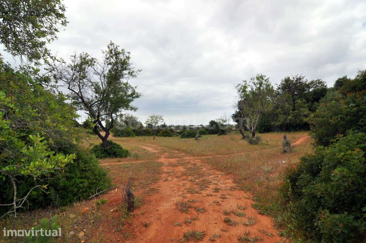 Terreno Para Construção  Venda em Pechão,Olhão - Grande imagem: 3/6