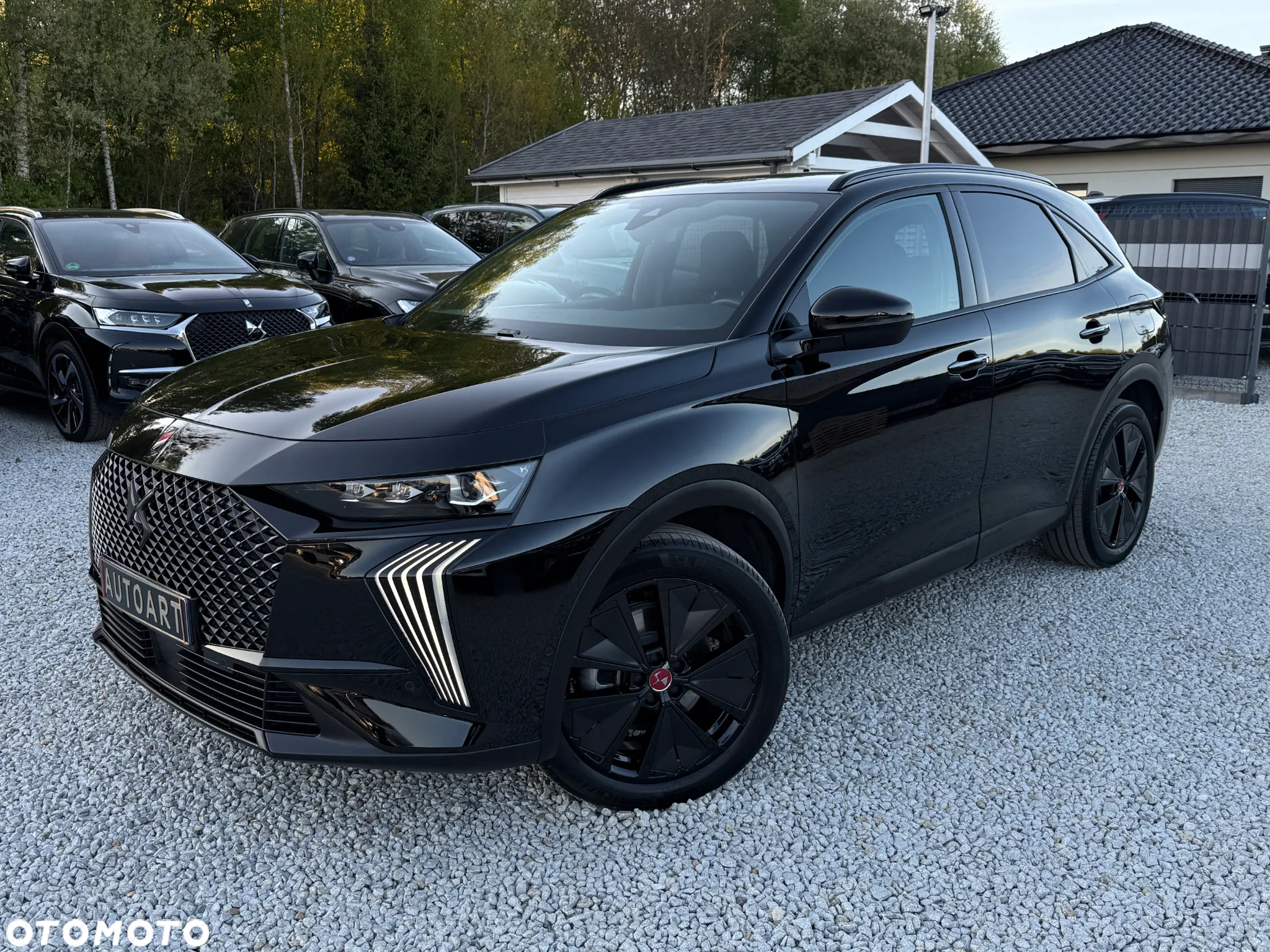 DS Automobiles DS 7 Crossback 1.6 E-Tense Performance Line + - 6