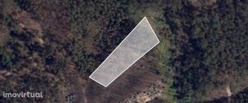 Terreno rústico em zona florestal - Grande imagem: 3/4