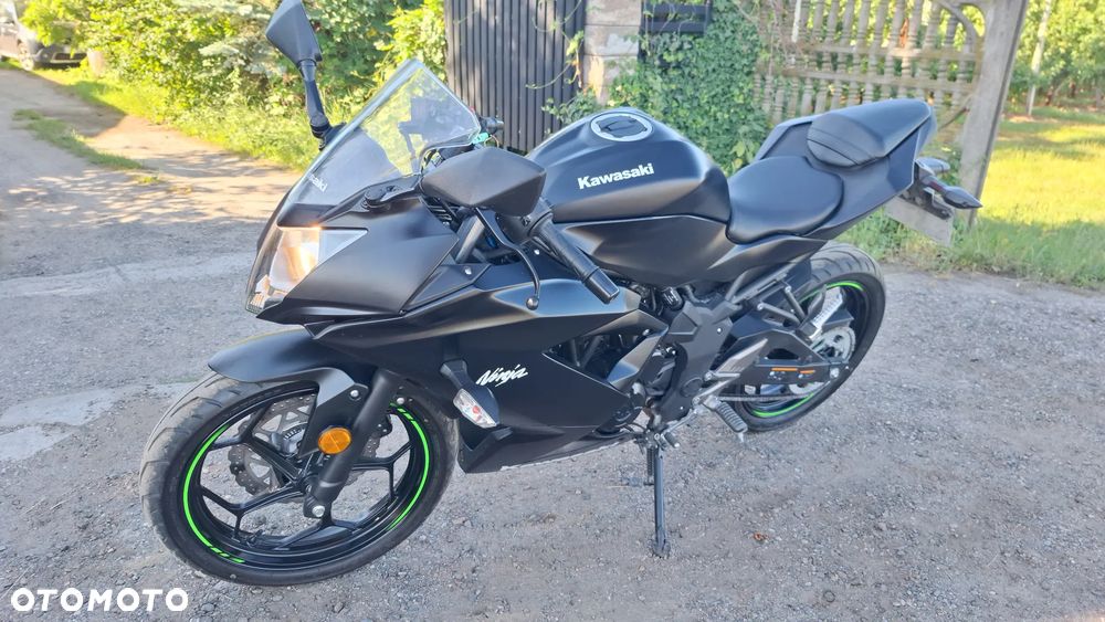 Kawasaki Ninja - 17