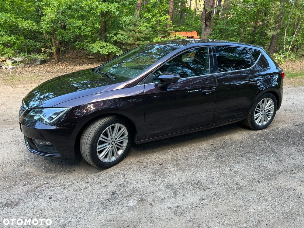 Seat Leon 1.5 EcoTSI Evo Xcellence S&S - 5