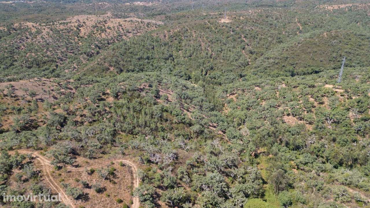 Terreno Misto 10.0 ha, São Francisco da Serra, Santiago do Cacem - Grande imagem: 4/18