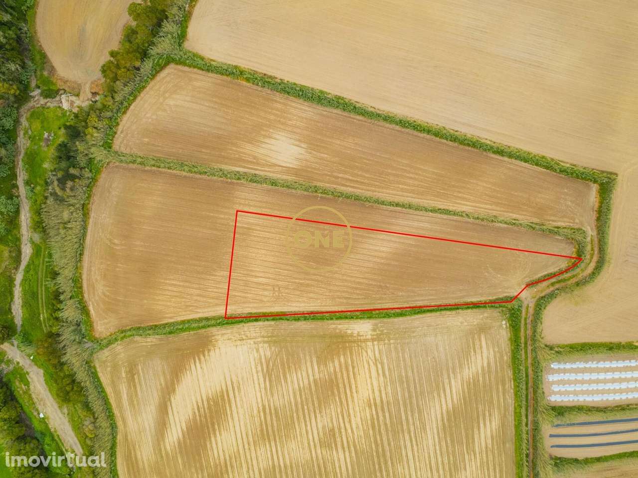 TERRENO RÚSTICO À VENDA | FETEIRAS - PONTA DELGADA - Grande imagem: 3/7