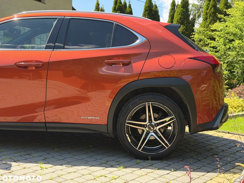 Lexus UX 250h GPF F Sport AWD - 6
