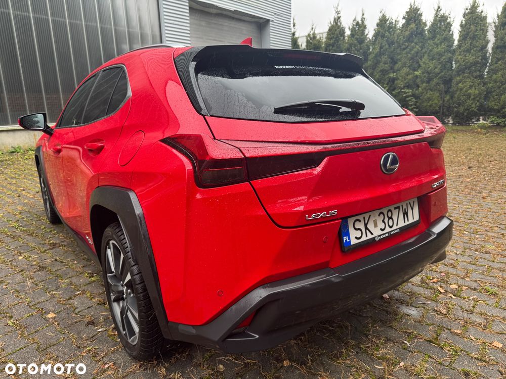 Lexus UX 250h GPF Business Edition 2WD - 19