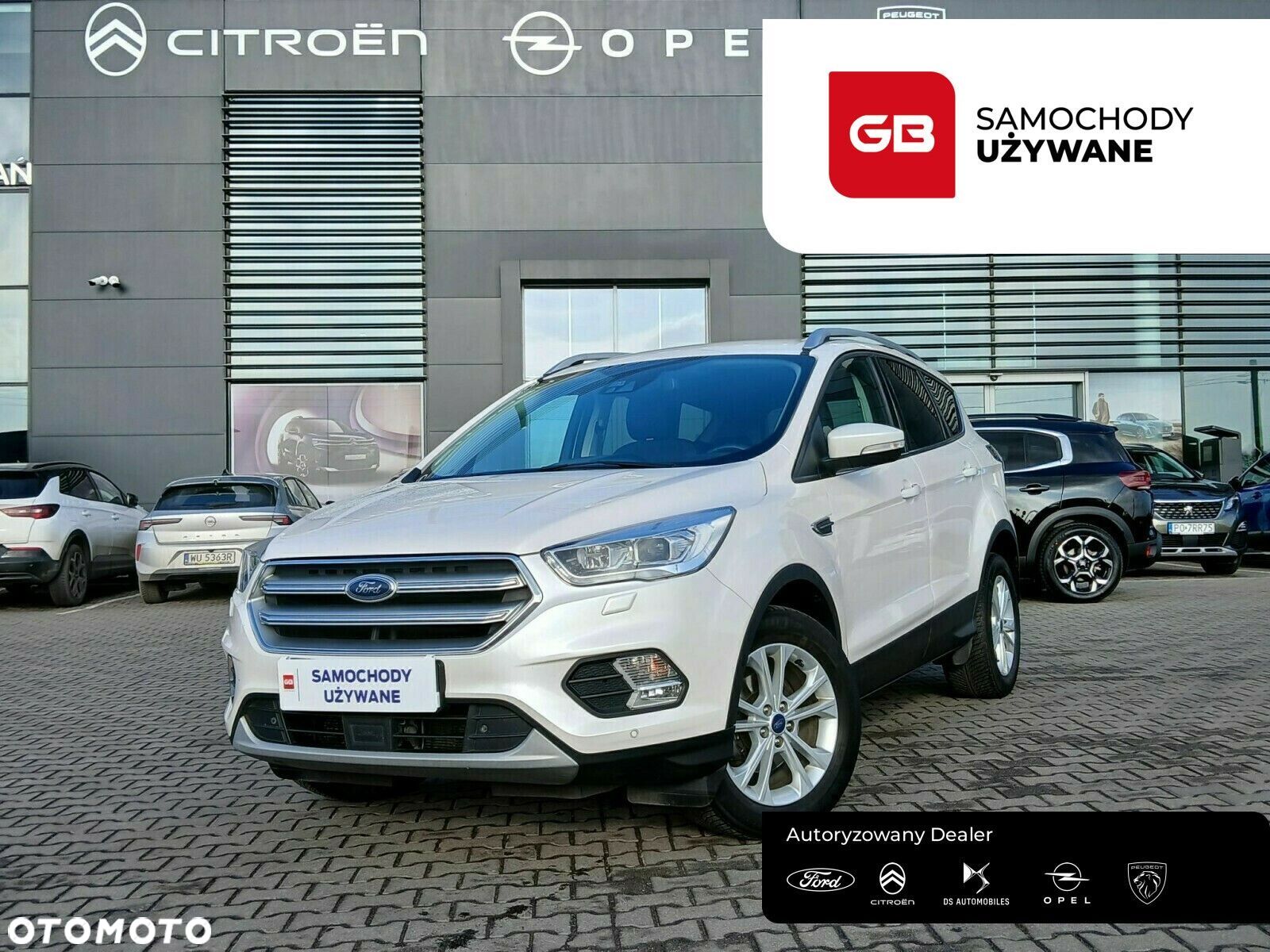 Ford Kuga - 1