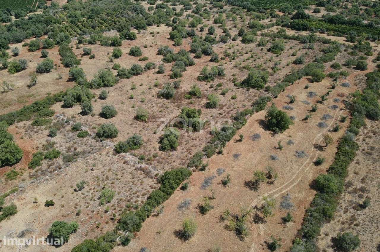 Terreno Rústico com 13.520m2 em Aivados e Fontes, Messines - Grande imagem: 5/15