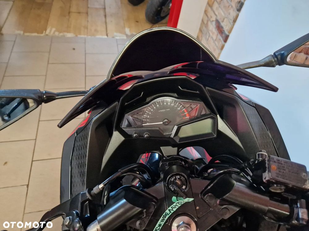 Kawasaki Ninja 300 ABS - 11