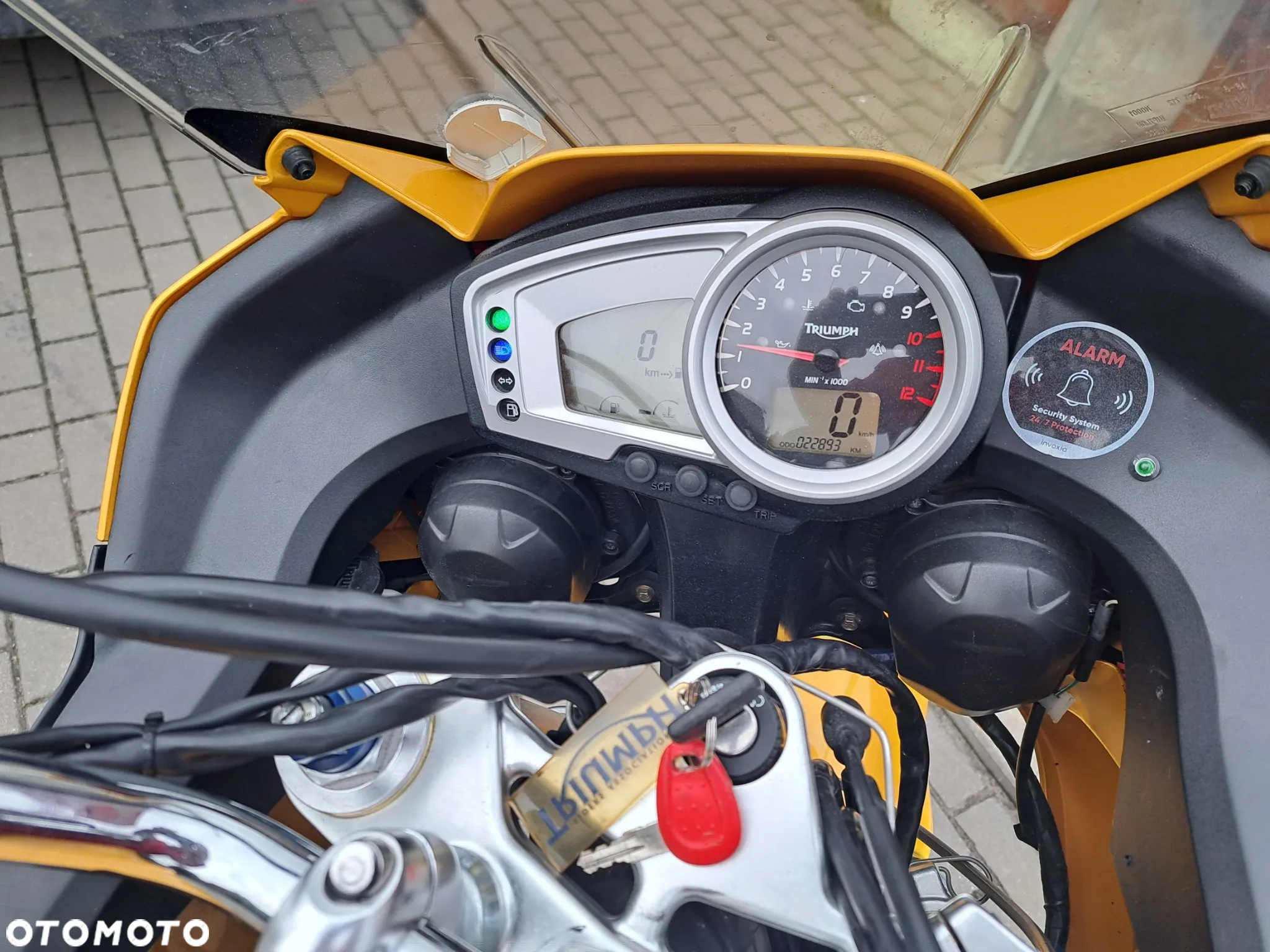 Triumph Tiger - 13