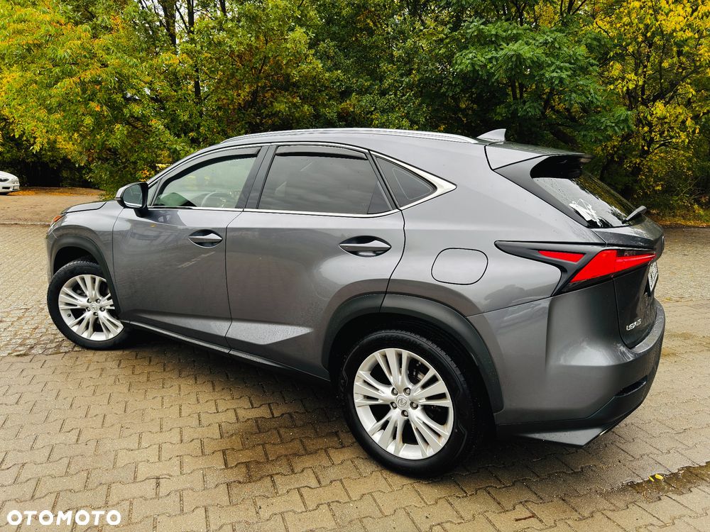 Lexus NX - 14