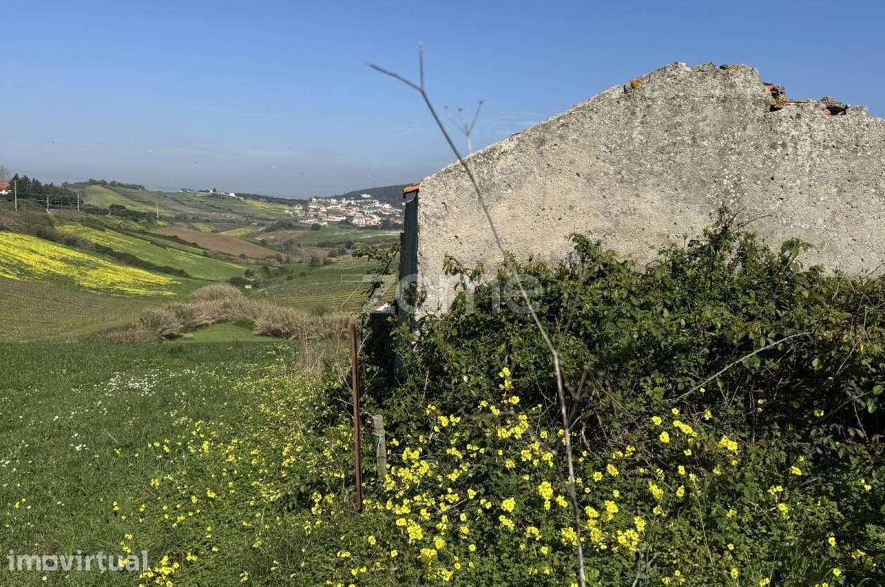 Terreno rústico com parcela urbana à beira da A8 - Grande imagem: 4/33