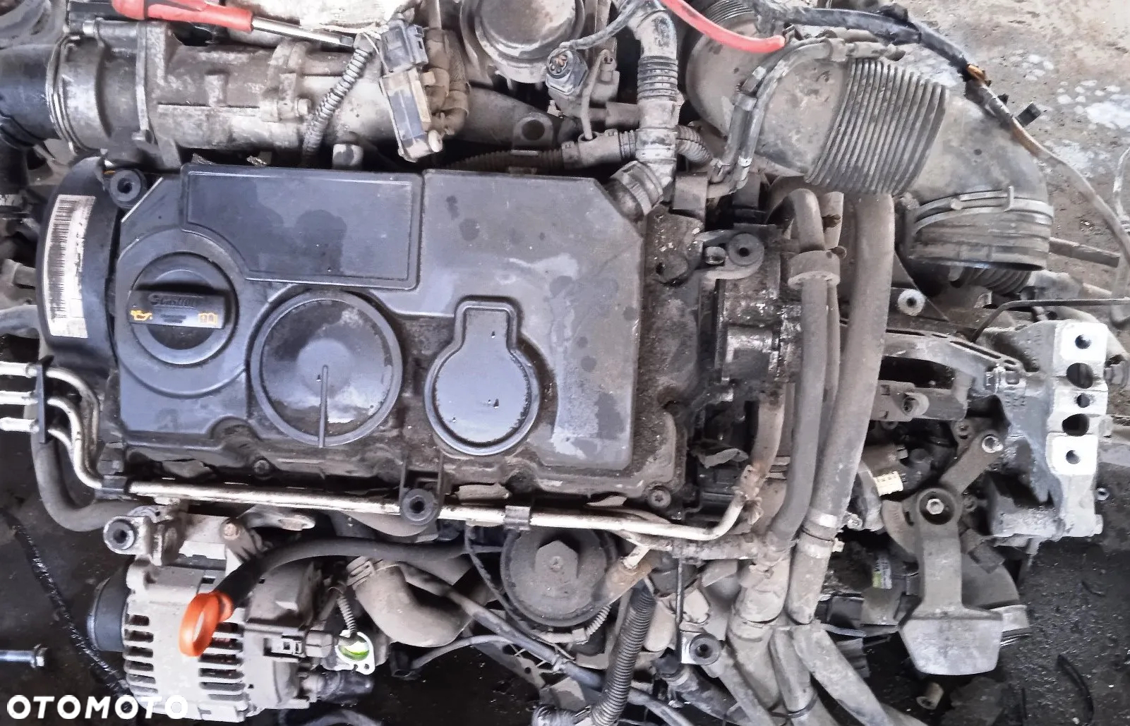 Na części Volkswagen Golf 5 V Plus + 1.9 Diesel silnik BLS skrzynia biegów KBL lak. LA7T lampa drzwi zderzak klapa szyba belka oś tył wózek sanki fotel - 2