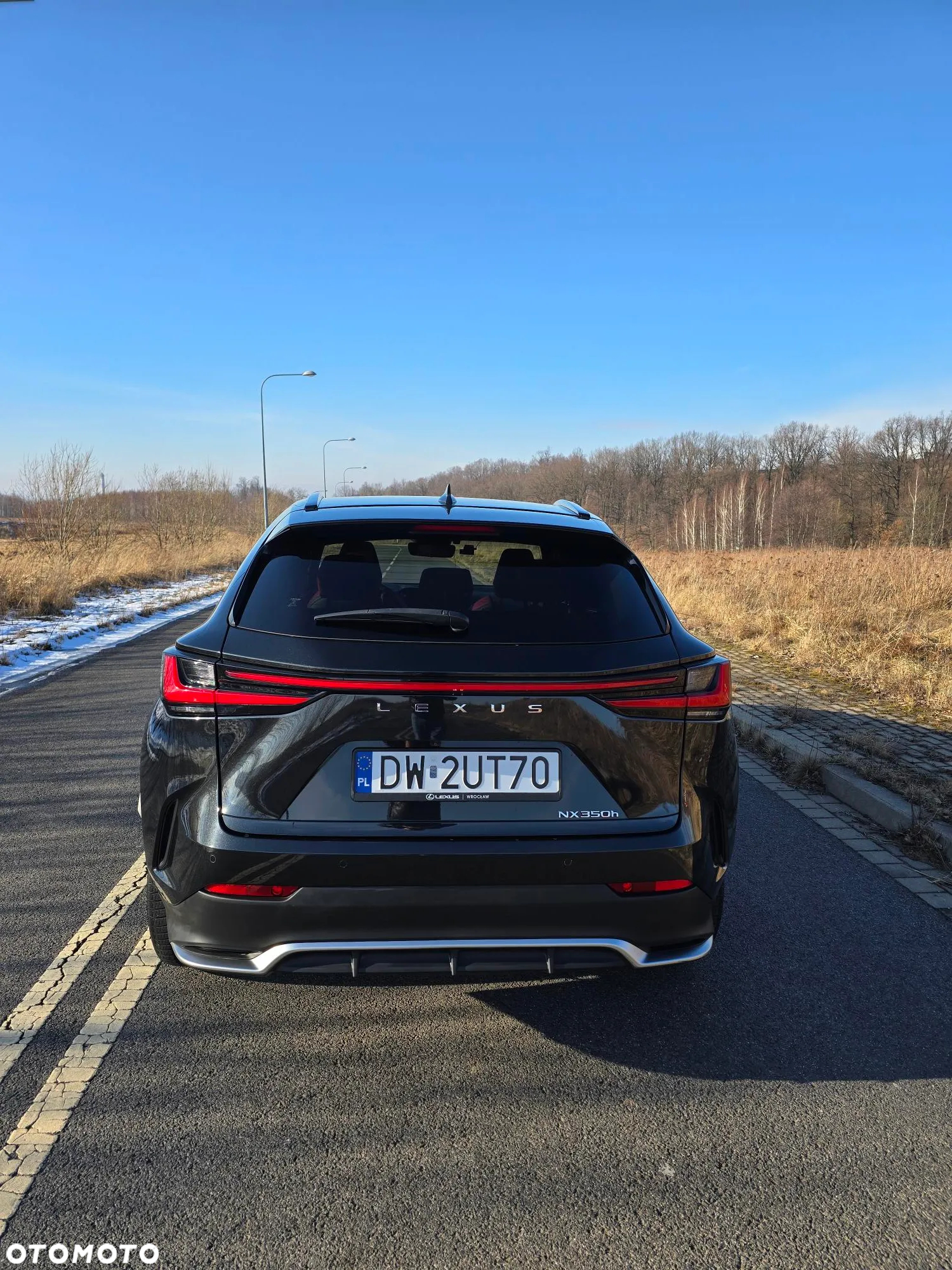 Lexus NX 350h F Sport AWD - 6