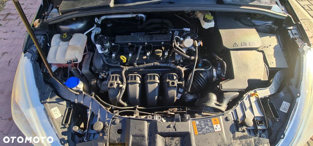 Ford Focus - 15