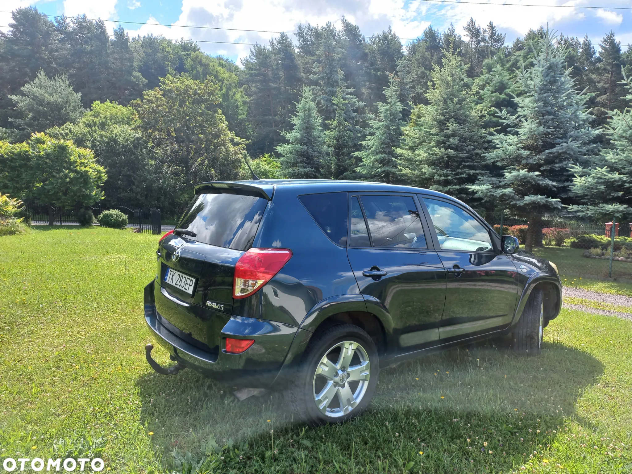 Toyota RAV4 - 8