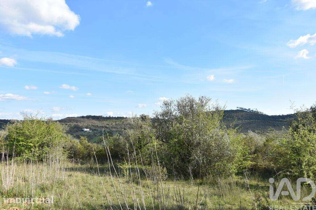 Terreno Agrícola em Chãos - Grande imagem: 4/32
