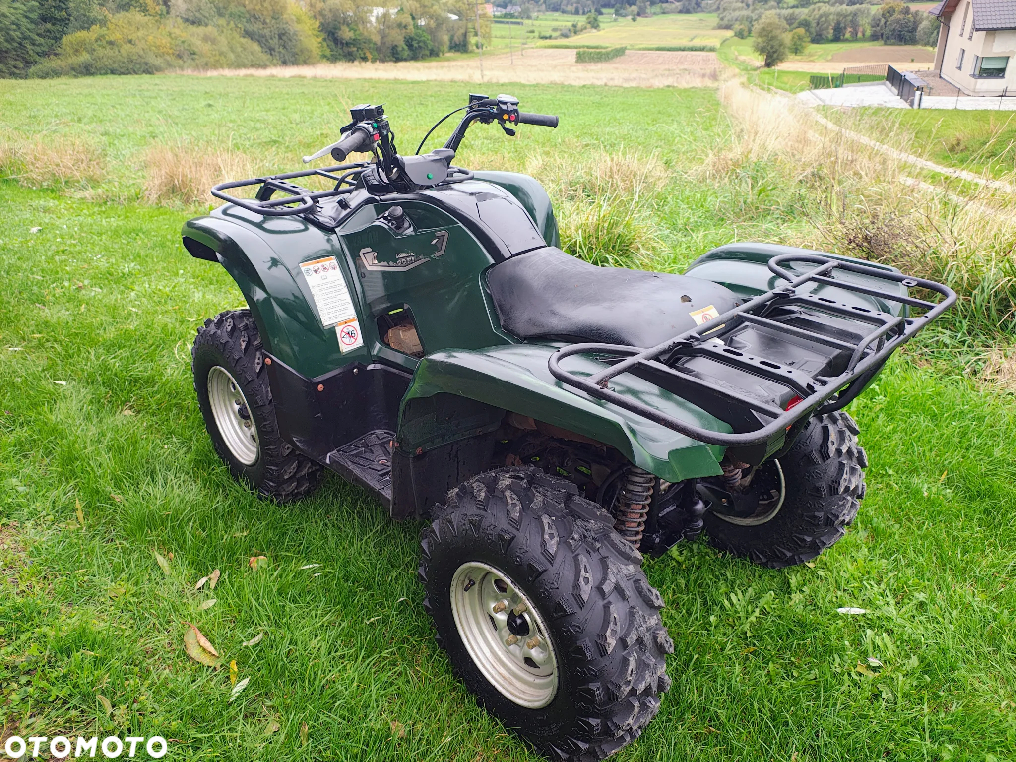 Yamaha Grizzly - 12