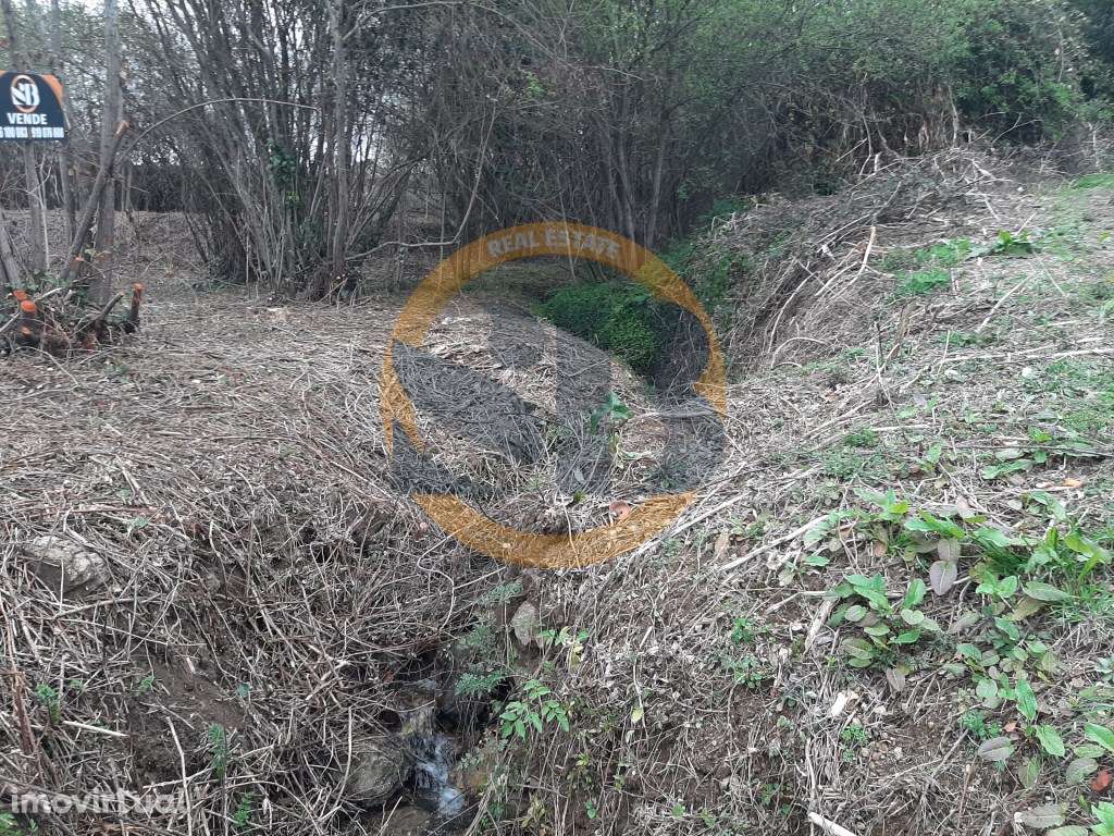 Terreno Oliveira de Azeméis - Grande imagem: 3/7