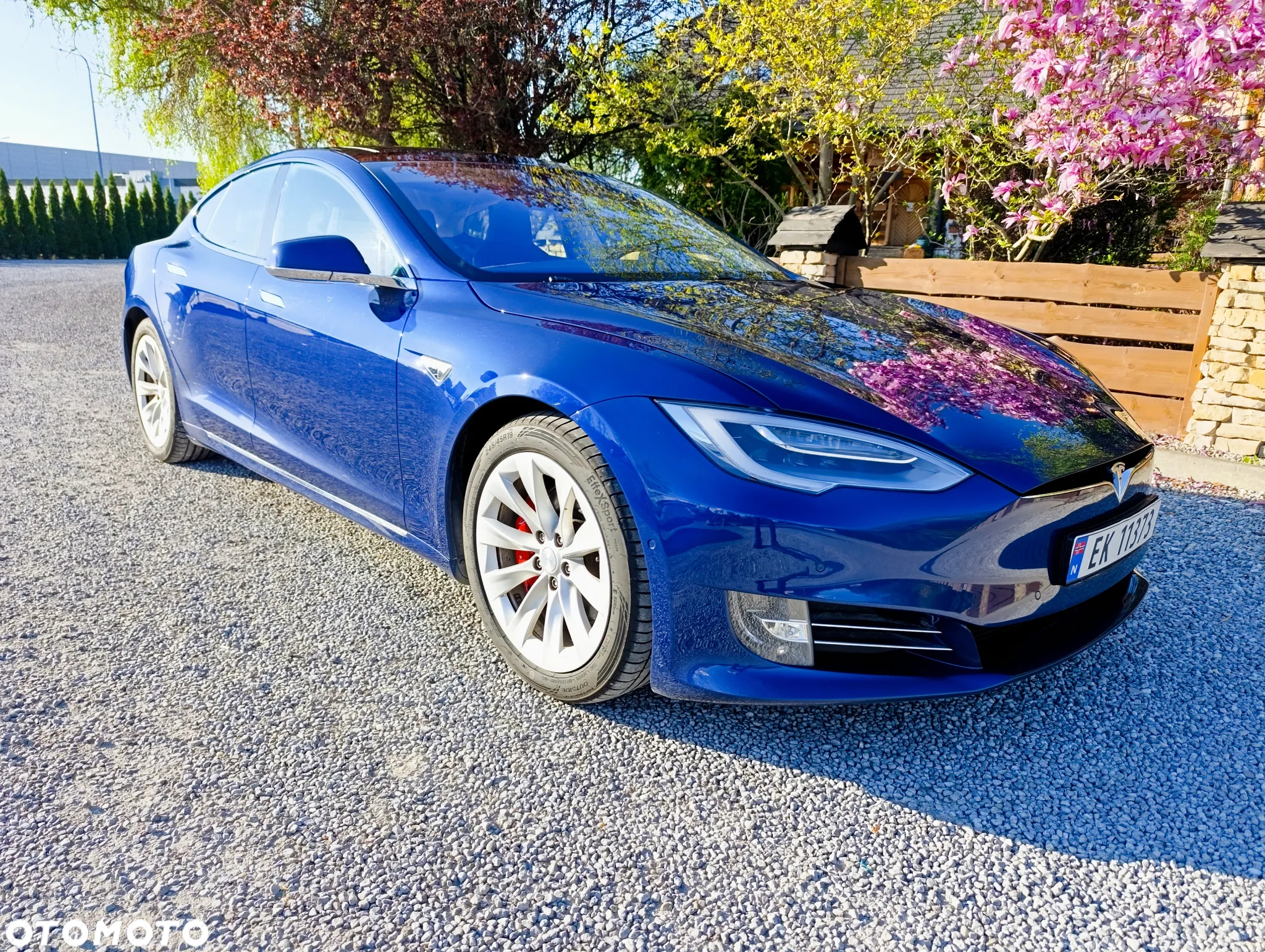Tesla Model S Performance - 18