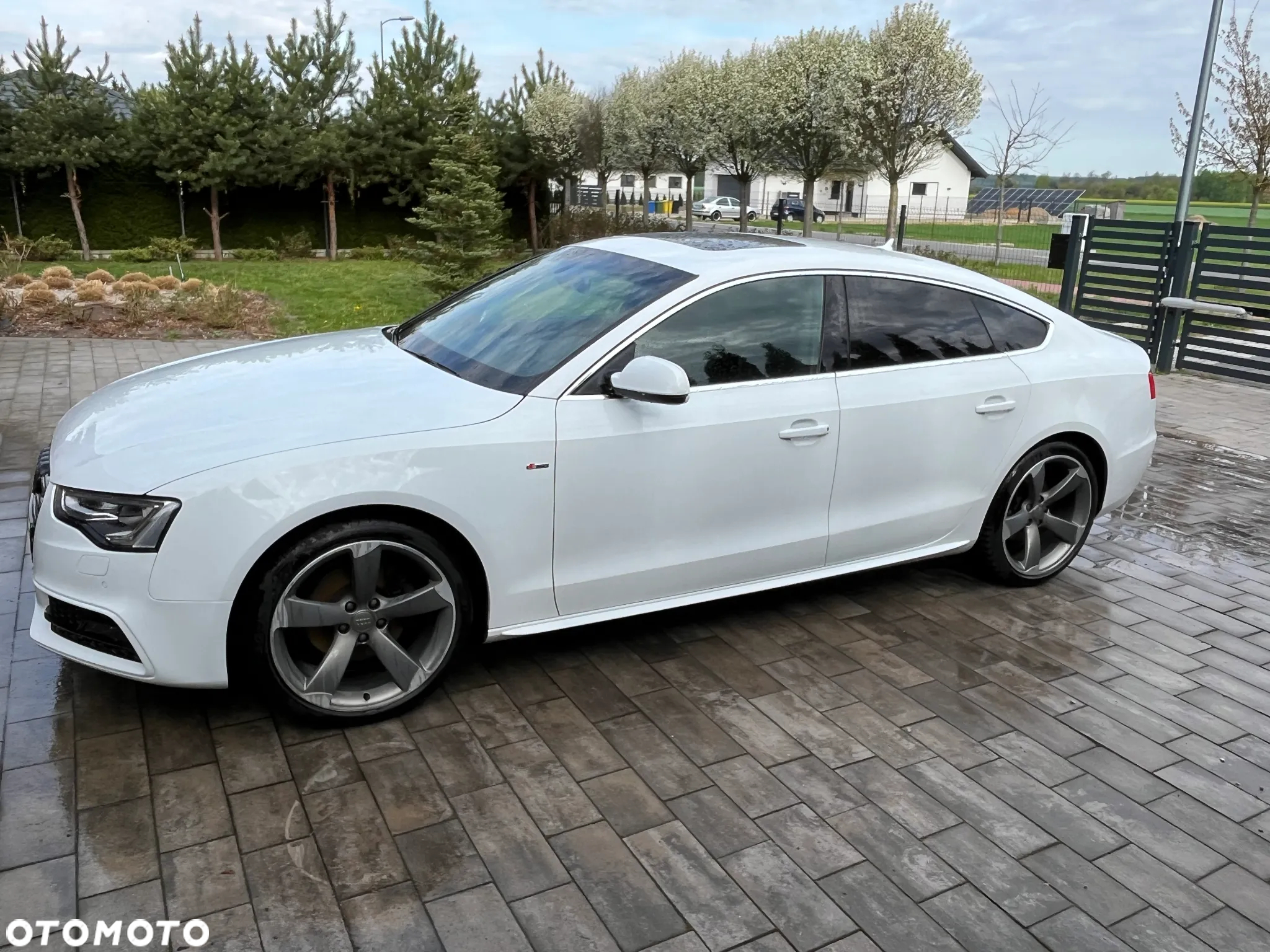 Audi A5 Coupe 2.0 TDI - 3