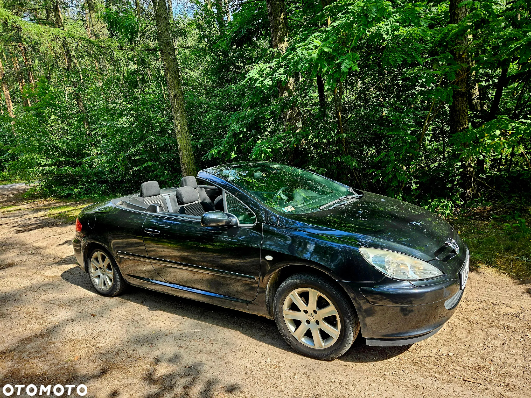 Peugeot 307 CC - 18