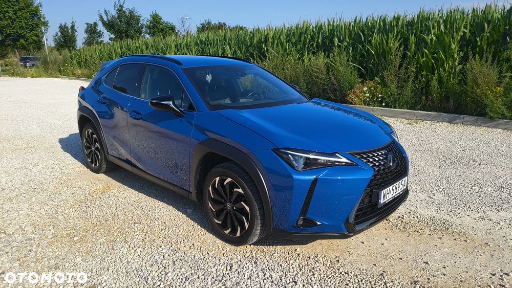 Lexus UX - 11