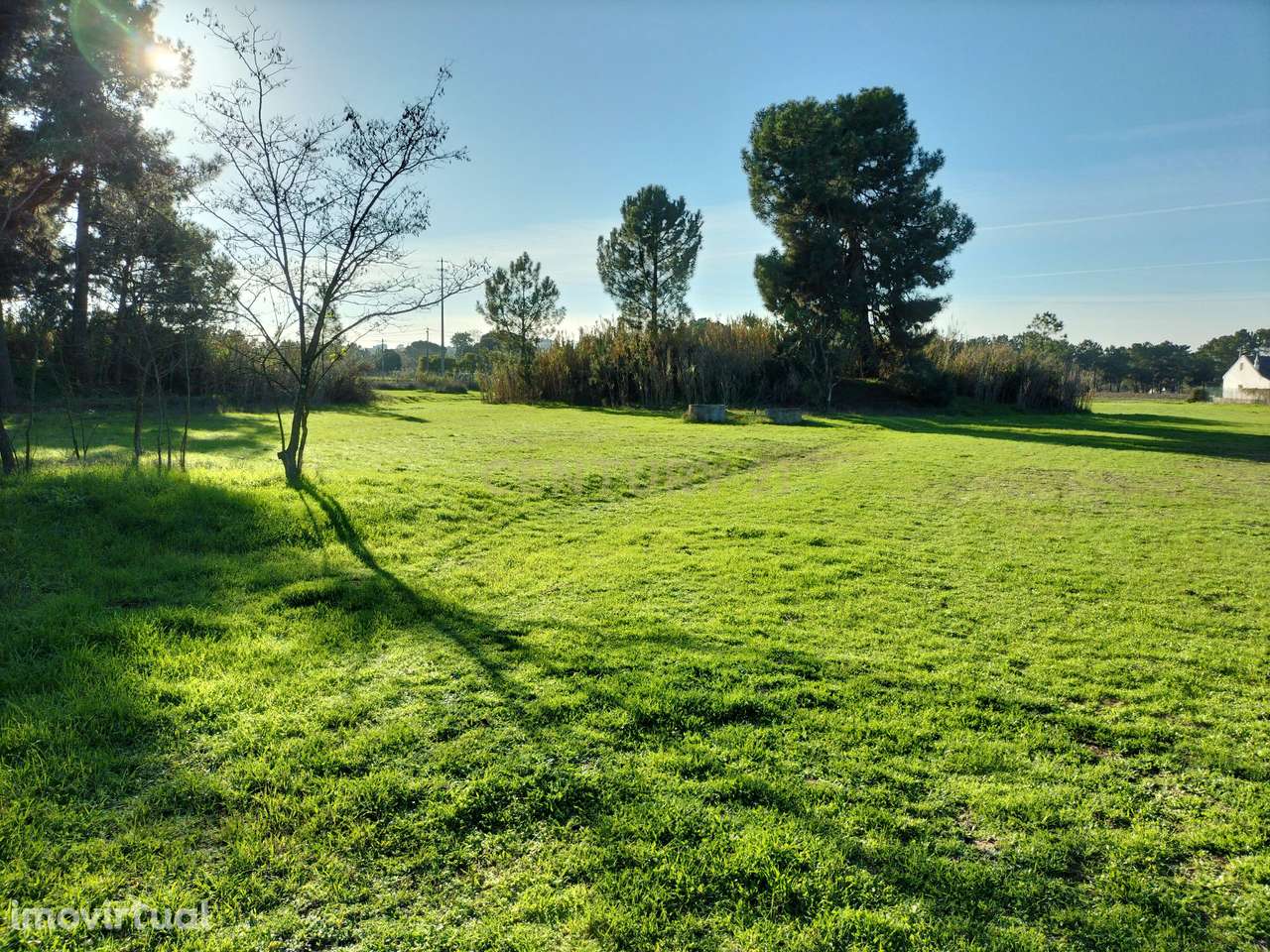 Terreno Urbano com 12040 m2 para loteamento de moradias - Grande imagem: 2/11