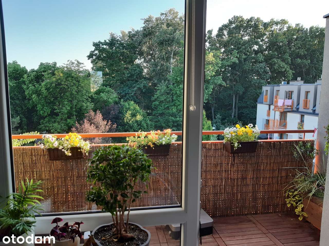 Jasne 3 pokoje 55 m² | Balkon | Garaż | Komórka | ul. Pilczycka