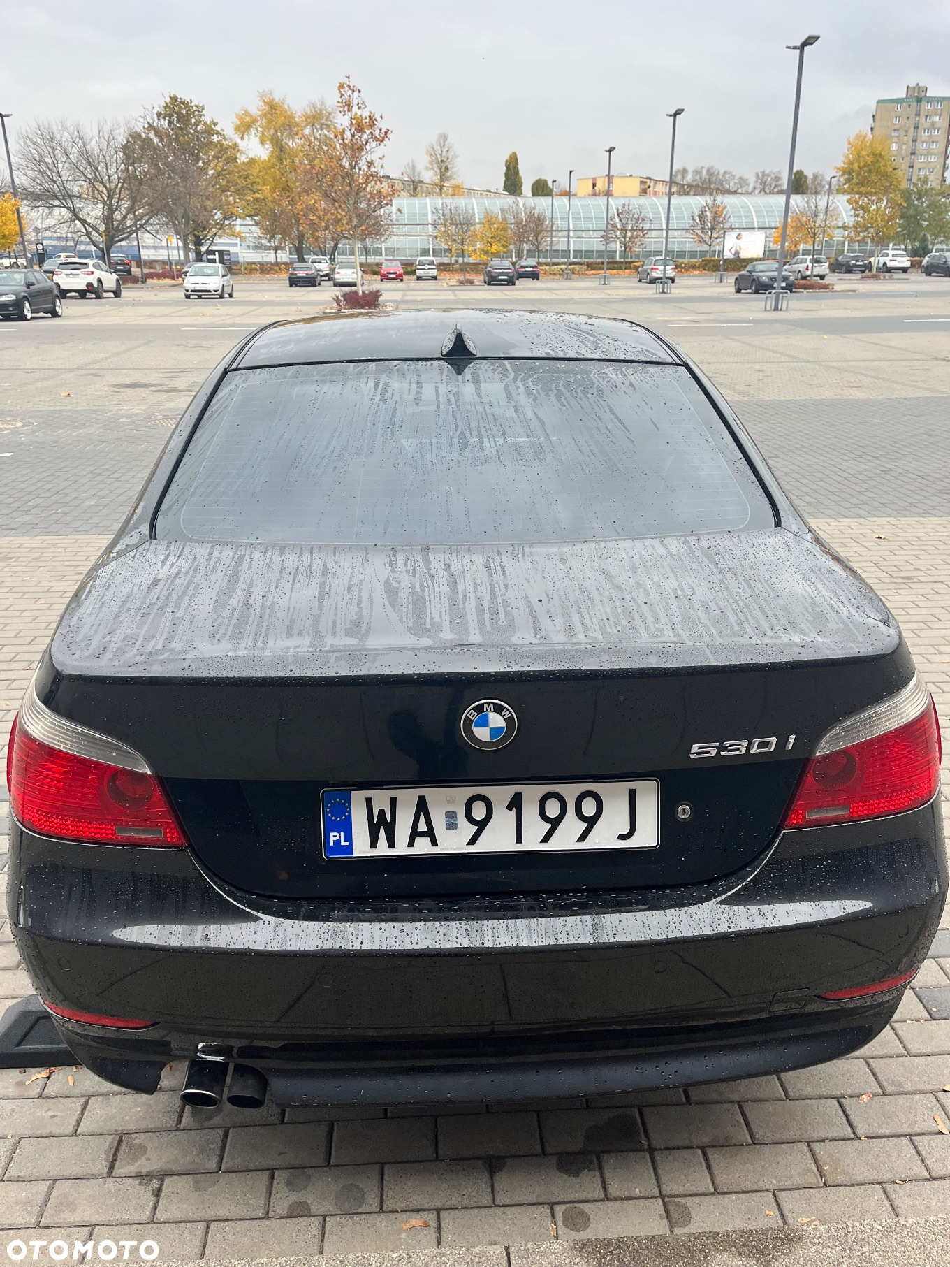 BMW Seria 5 - 16