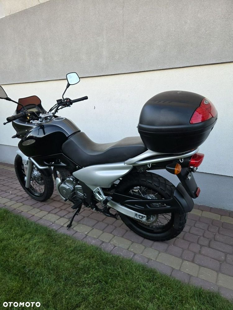 Suzuki XF - 9