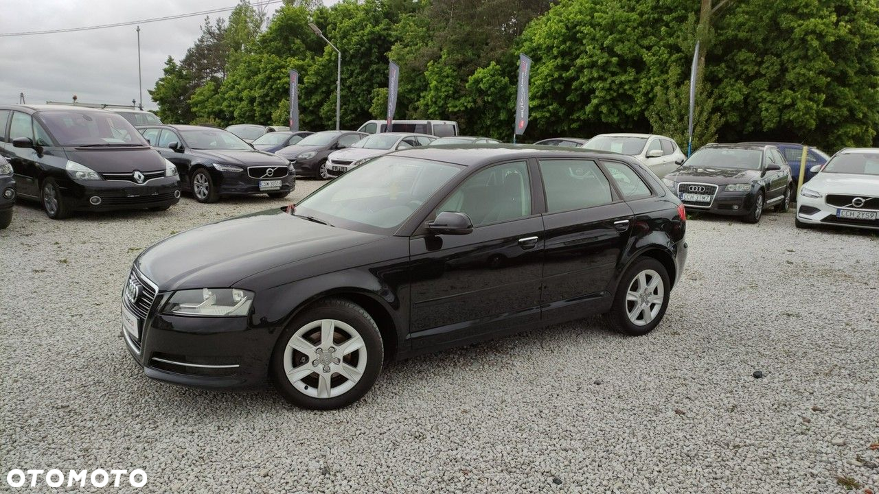 Audi A3 1.6 TDI DPF Attraction - 11