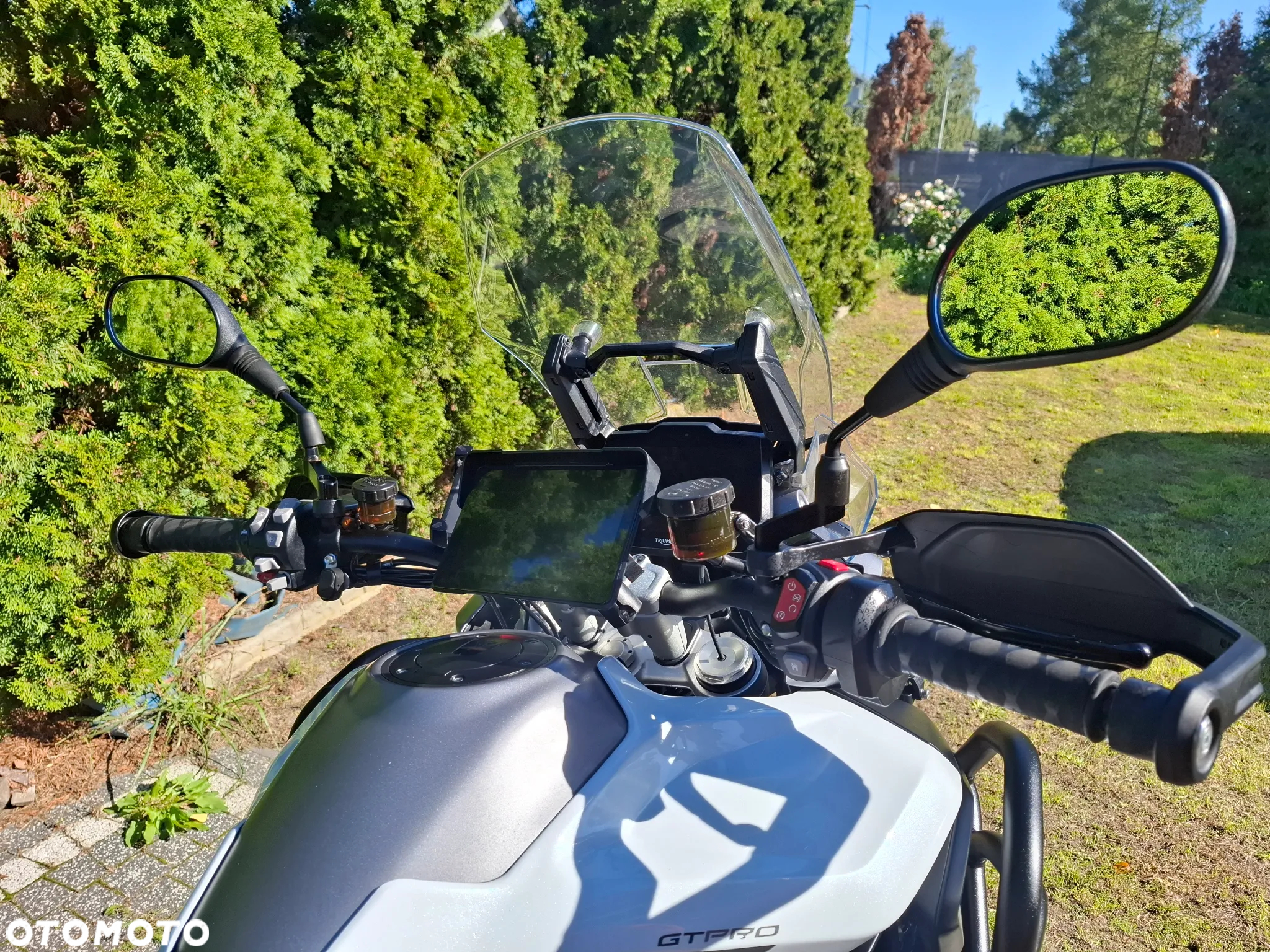 Triumph Tiger - 14